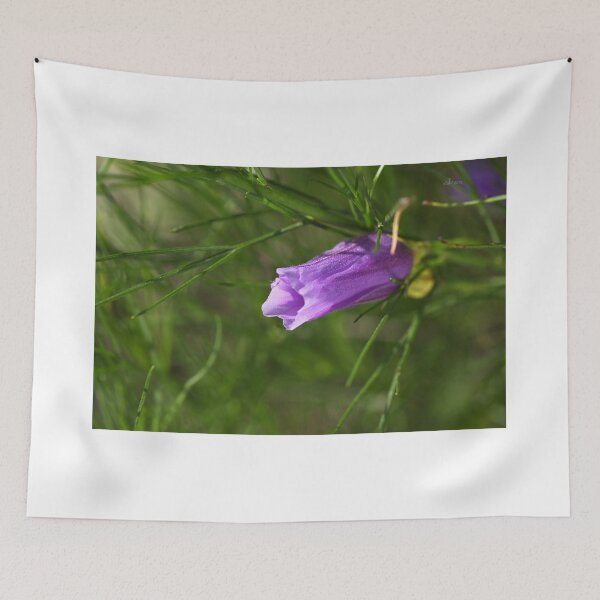 Item preview, Before I Kiss The Sun designed and sold by Joy Watson - Natural Light Photography .