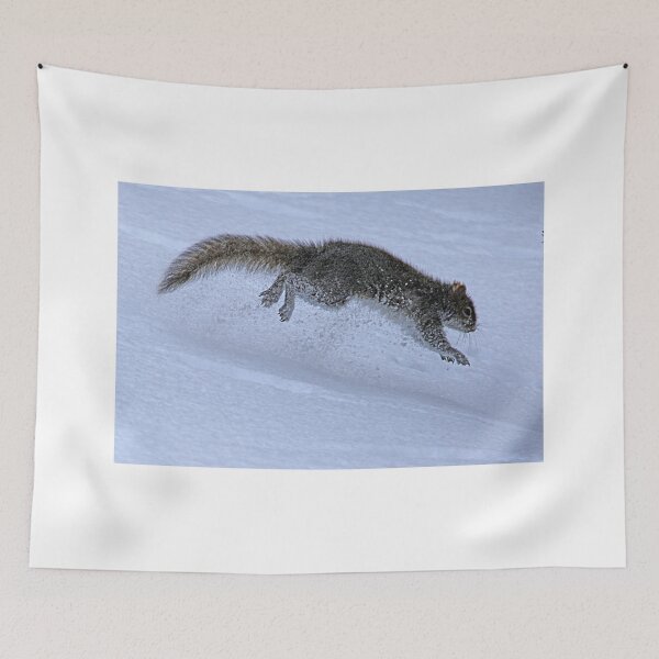 Item preview, Squirrel in Action!! designed and sold by Anthony Goldman.