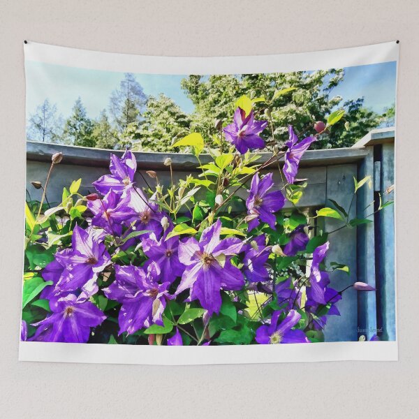 Aperçu de l'œuvre Solina Clematis on Fence créée et vendue par Susan Savad.