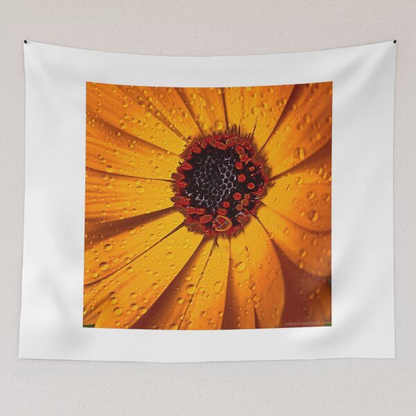 Item preview,  morning dew designed and sold by balsano.