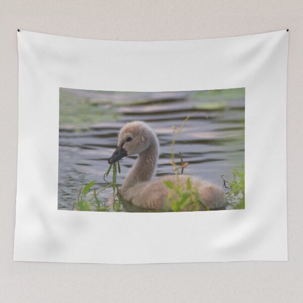 Item preview, Cygnet Treats designed and sold by byronbackyard.