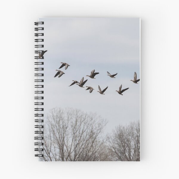 Item preview, Greater White-fronted Geese 2019-1 designed and sold by Thomasyoung.