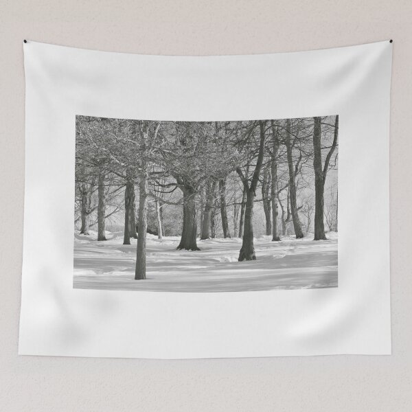 Item preview, For The Love Of Trees - 5 - Monochrome © designed and sold by © Hany G. Jadaa © Prince John Photography.