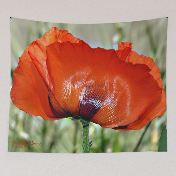 Item preview, Poppy Profile designed and sold by Holly Werner.
