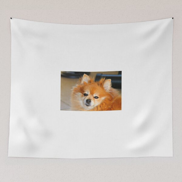 Item preview, Pomeranian designed and sold by Dana Yoachum.