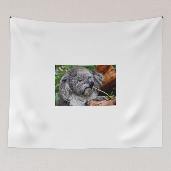 Item preview, Koala at Healesville designed and sold by Tom Newman.