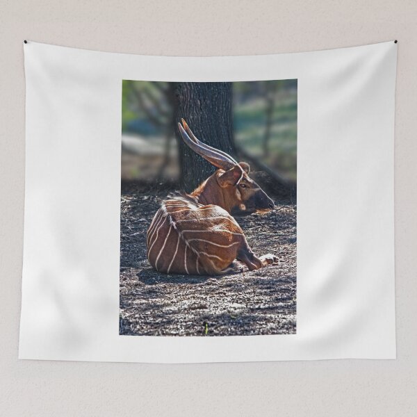 Item preview, Bongo designed and sold by miroslava.