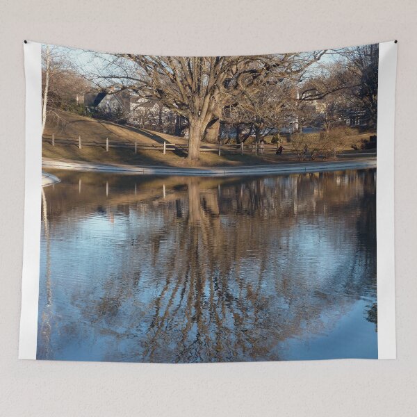 Item preview, Spring is here "Reflections" Wilcox Park 3 designed and sold by Maureen Zaharie.