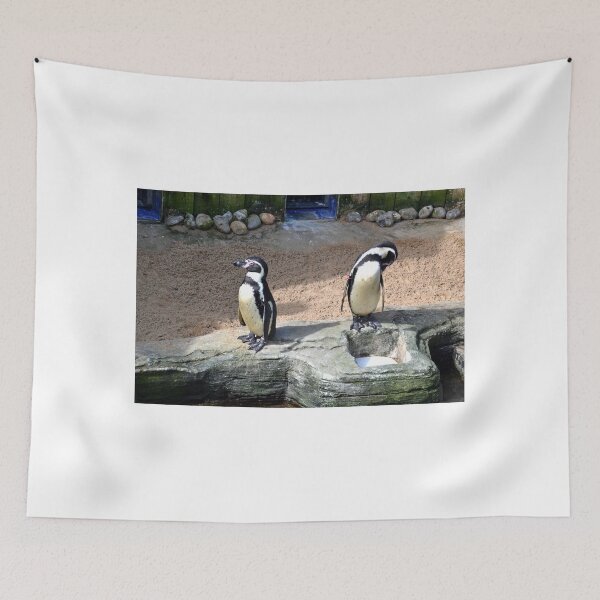 Item preview, Penguins at Gweek  Cornwall designed and sold by lynn carter.