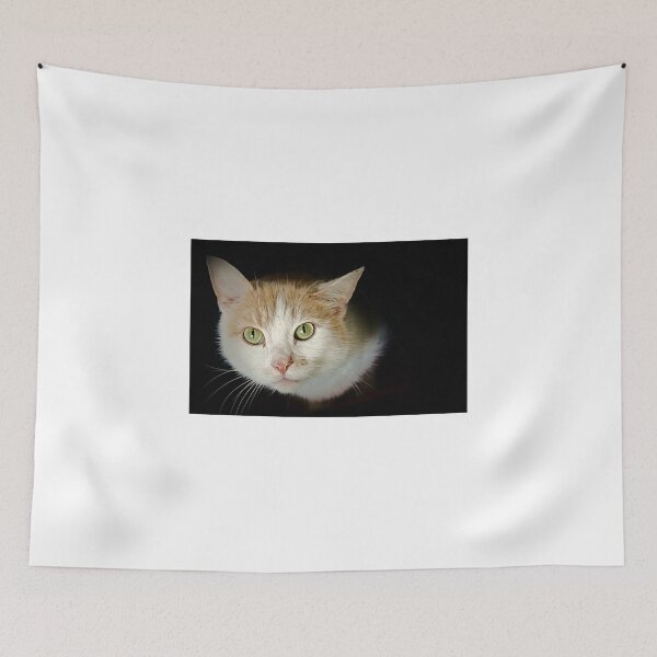 Item preview, Onions designed and sold by Ladymoose.