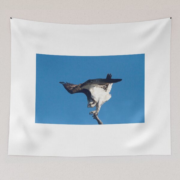 Item preview, The Balancing Act designed and sold by byronbackyard.