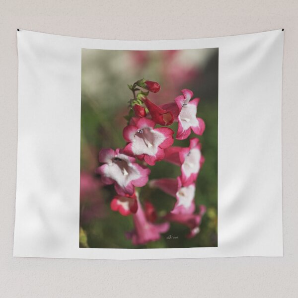 Item preview, An Autumn Dream designed and sold by Joy Watson - Natural Light Photography .