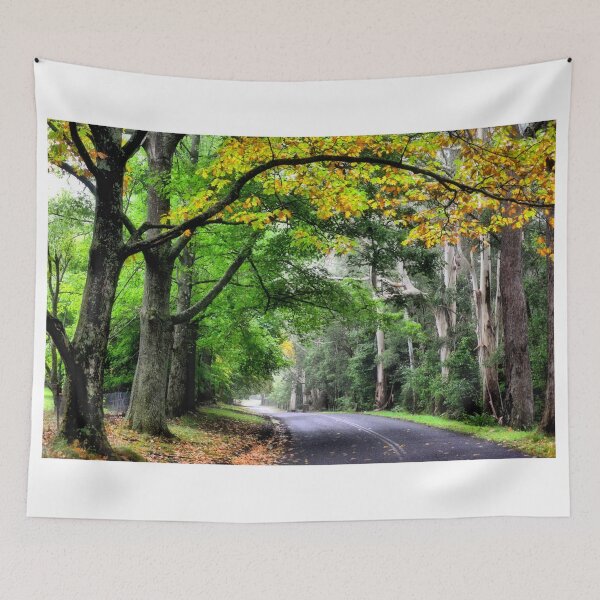 Item preview, A Hint of Autumn - Mt Wilson NSW Australia designed and sold by Bev Woodman.