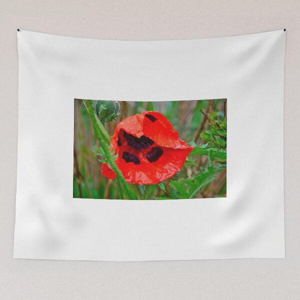 Item preview, Wet Poppy 1 designed and sold by Carolyn Clark.
