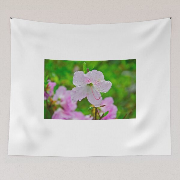 Item preview, Wet Azalia designed and sold by Carolyn Clark.