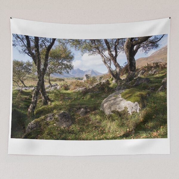 Item preview, Coille Gaireallach copse designed and sold by ccullen222.