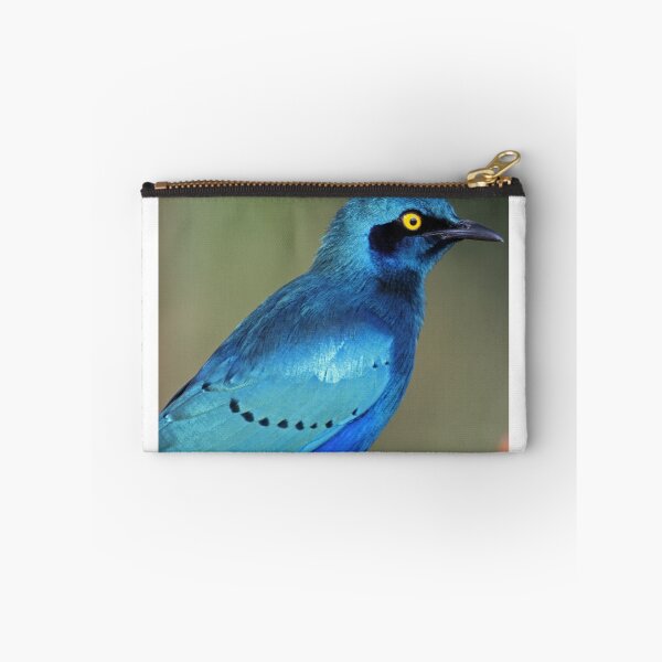 Item preview, Greater Blue-eared Glossy Starling showing its colors designed and sold by Anthony Goldman.