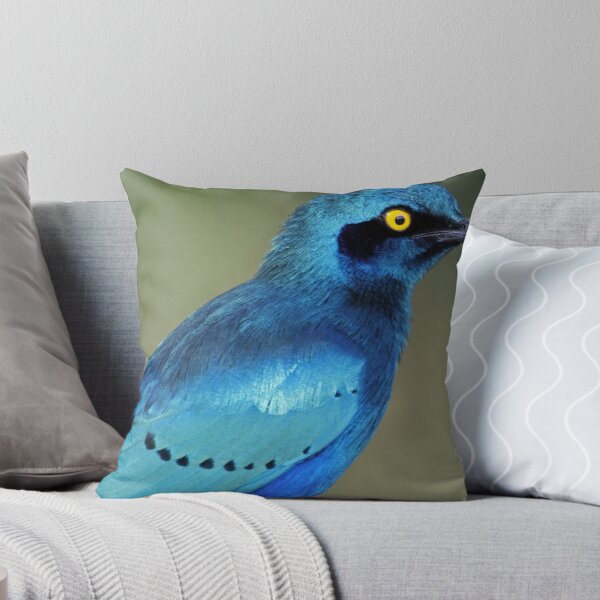 Item preview, Greater Blue-eared Glossy Starling showing its colors designed and sold by Anthony Goldman.