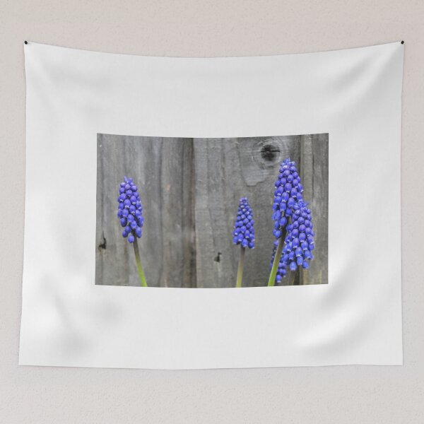 Item preview, Grape Hyacinths........ designed and sold by lynn carter.