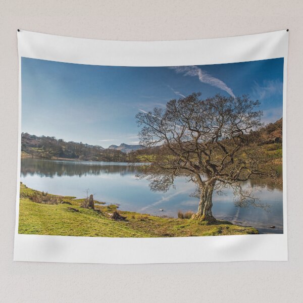 Item preview, Loughrigg Tarn and Tree designed and sold by Cameranick.