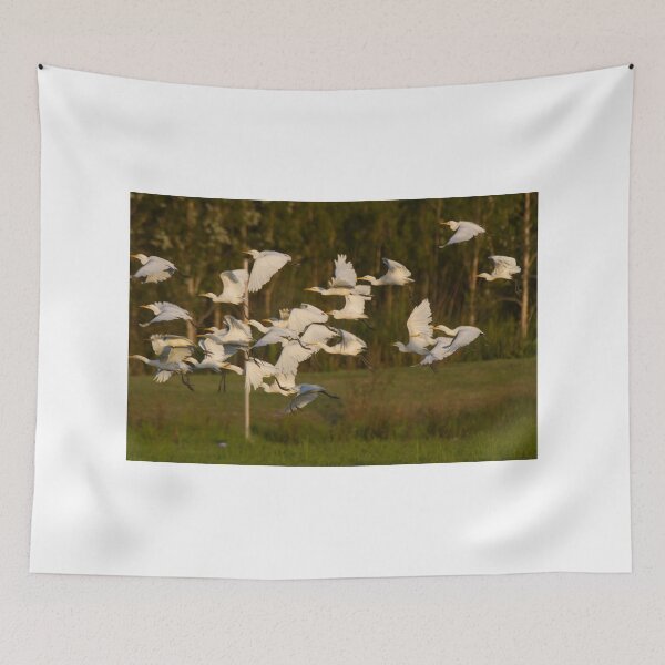 Item preview, To The Roost At Sunset designed and sold by byronbackyard.