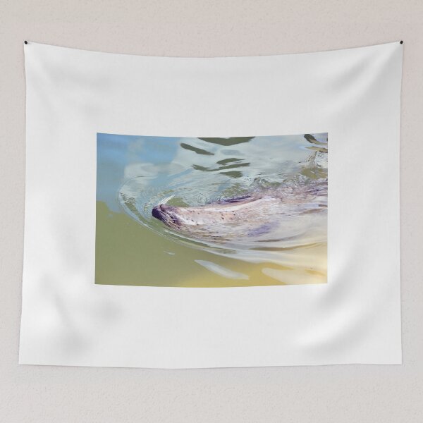 Item preview, Backstroke............ designed and sold by lynn carter.