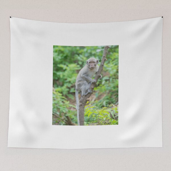 Item preview, Monkey - Bal designed and sold by Paul Campbell  Photography.