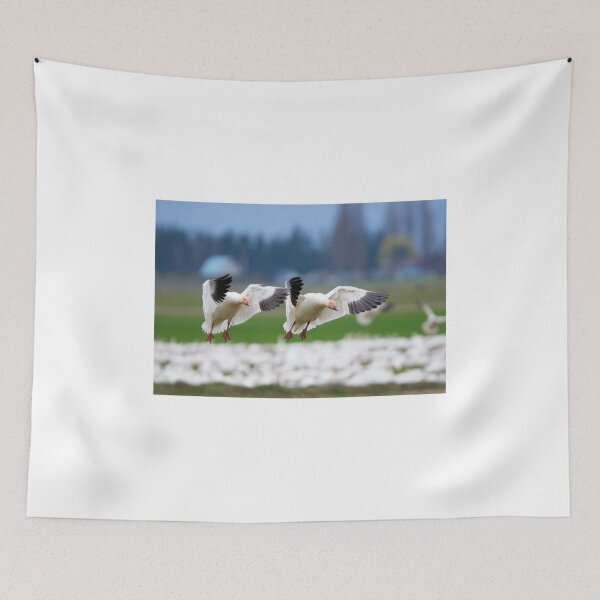 Item preview, Tandem Landing designed and sold by DawsonImages.