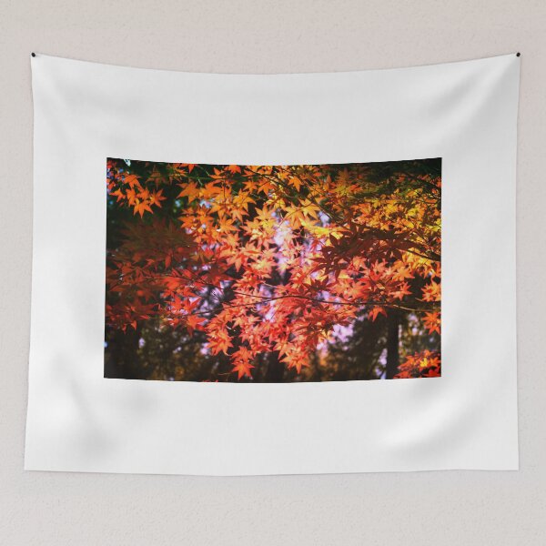 Item preview, Fall Feeling designed and sold by savapavo.