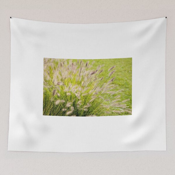 Item preview, Grass bunch Pennisetum alopecuroides designed and sold by Arletta Cwalina.