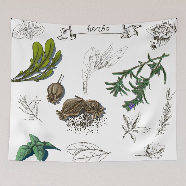 Item preview, illustration set with hand drawn herbs designed and sold by Olga Berlet.