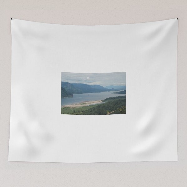 Aperçu de l'œuvre Columbia River créée et vendue par Deborah Singer.