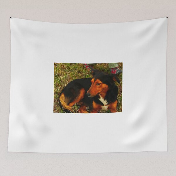 Item preview, Peaceful Dog designed and sold by Kurisu Way.