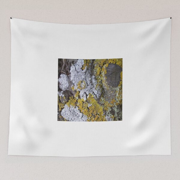 Item preview, Lichen designed and sold by Caroline Everett.