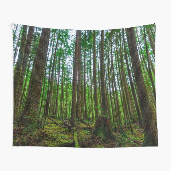 Item preview, Endor designed and sold by Casperry.