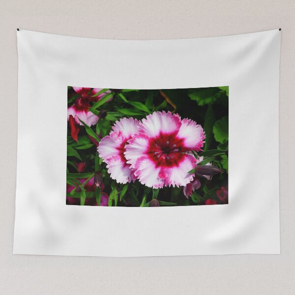 Item preview, Dianthus designed and sold by WildestArt.