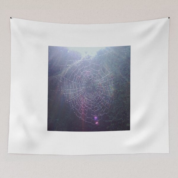 Item preview, Spider Web designed and sold by lezvee.