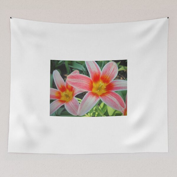Item preview, Tulips designed and sold by Vitta.