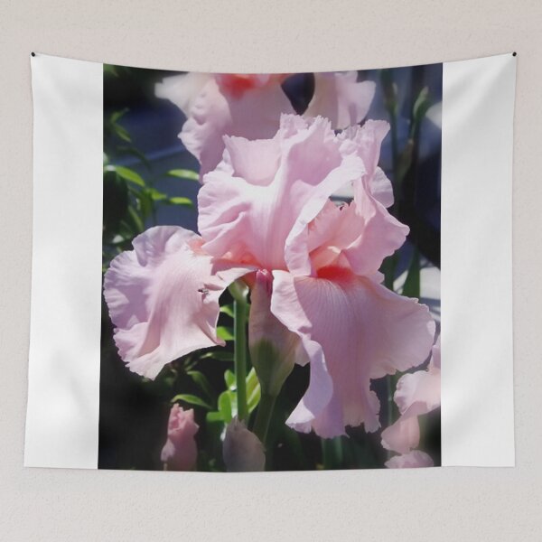 Item preview, Pink Iris designed and sold by AnnDixon.