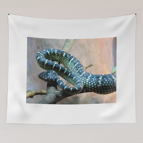 Item preview, Wangler Pit Viper Malaysia designed and sold by sandysartstudio.