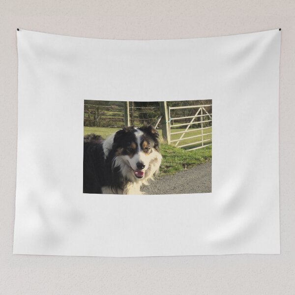 Item preview, Travels with Laddie designed and sold by Michael Haslam.