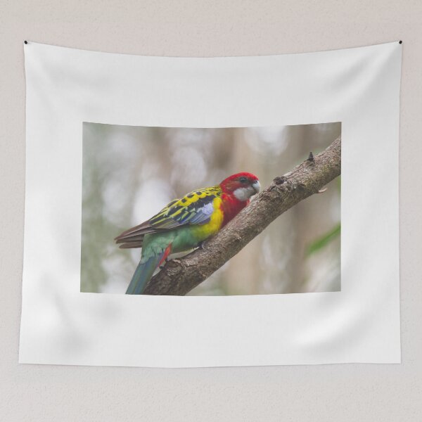 Item preview, I'm Trying To Hide designed and sold by byronbackyard.