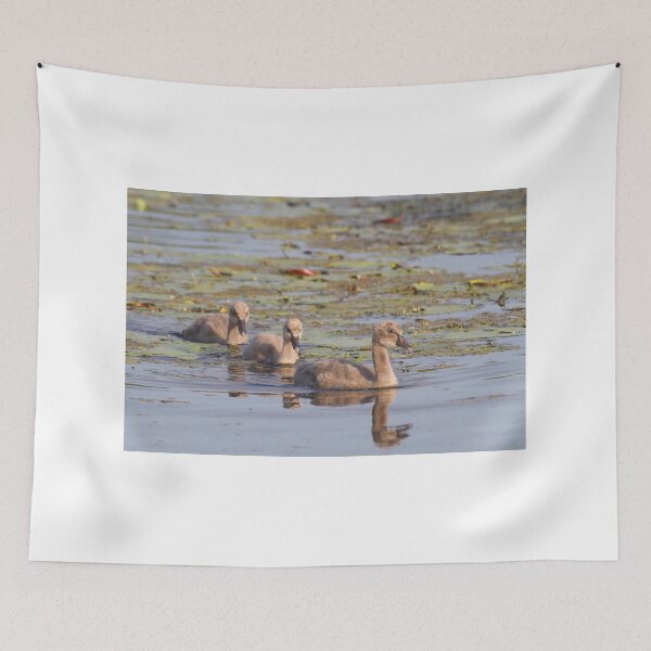 Item preview, Growing Up designed and sold by byronbackyard.