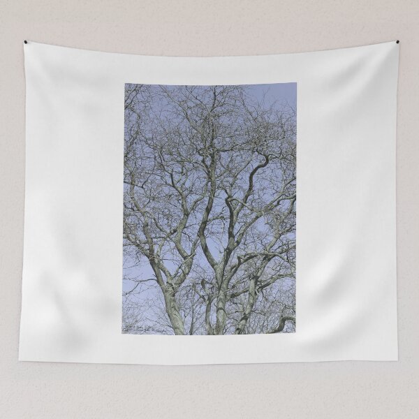 Item preview, For The Love Of Trees - 2 © designed and sold by © Hany G. Jadaa © Prince John Photography.
