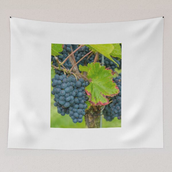 Item preview, Vineyard, Kaiserstuhl, South-West Germany designed and sold by Mark Bangert.