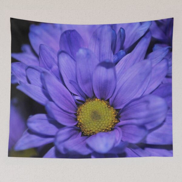 Item preview, Deep Purple Daisy designed and sold by bloomingvine.
