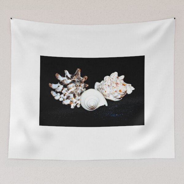 Item preview, Sea Shell Beauty designed and sold by Lynnrmorris.