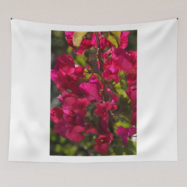 Item preview, Shine On Bougainvillea designed and sold by Joy Watson - Natural Light Photography .