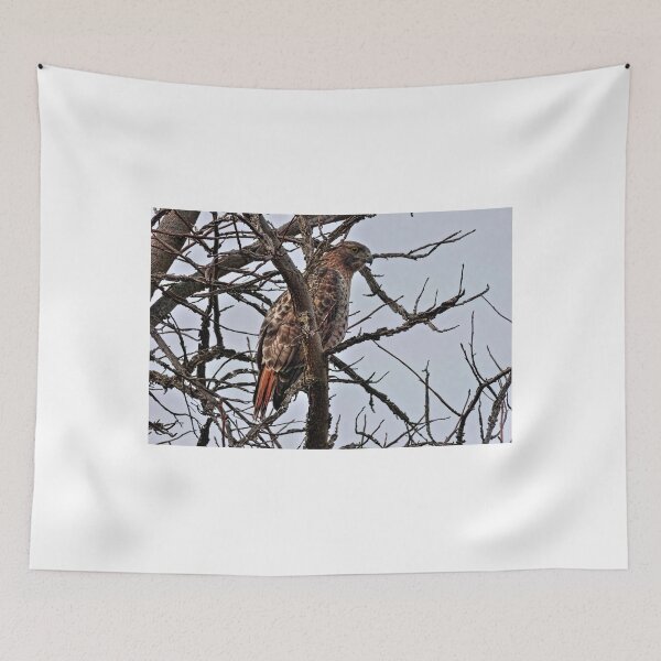 Item preview, Mister Red-Tailed Hawk designed and sold by Lanis Rossi.