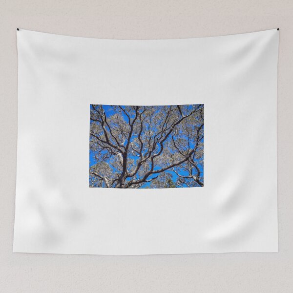 Item preview, Beyond The Treetops To The Blue Sky designed and sold by Debra Martz.